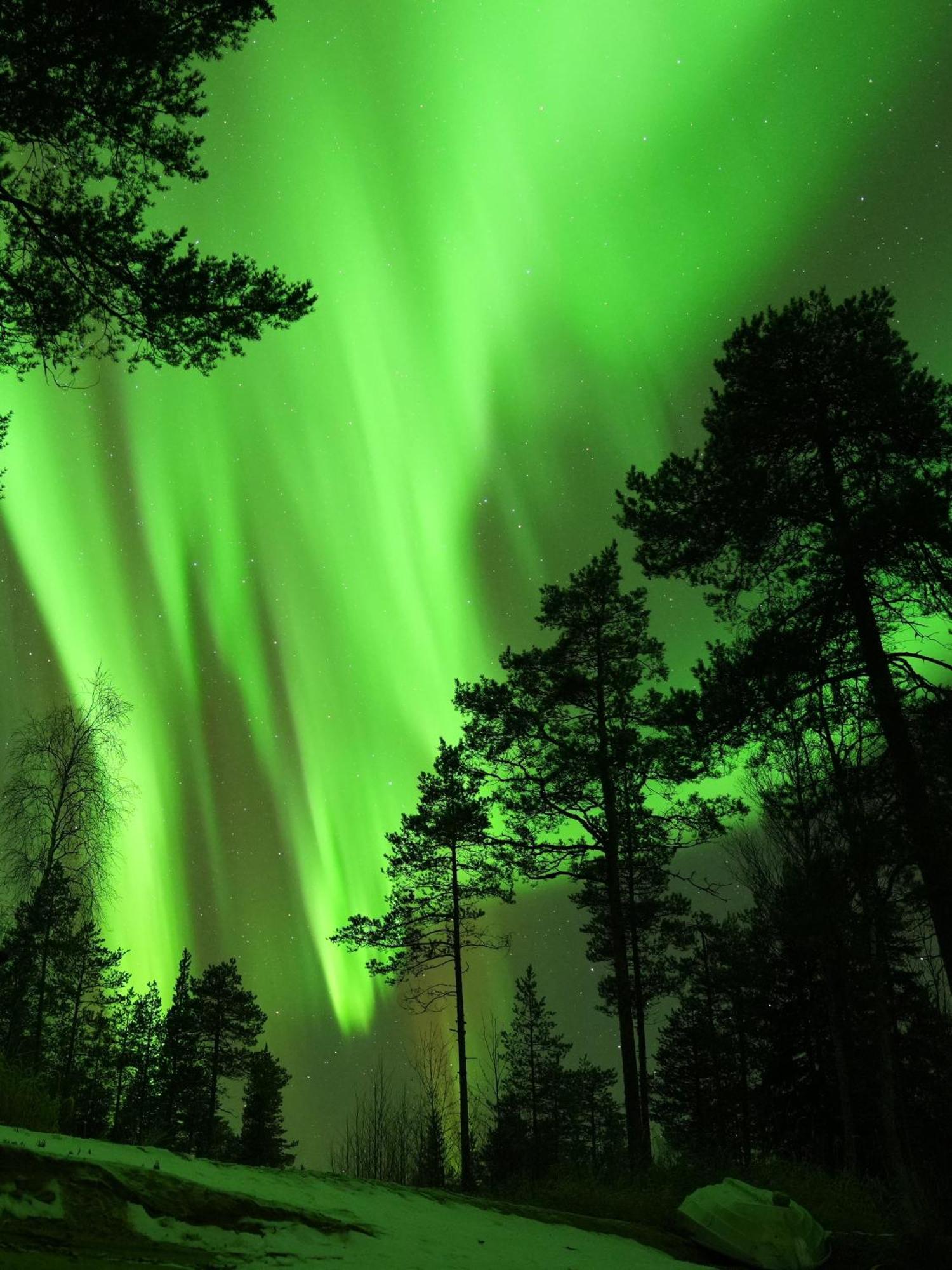 Aurora Igloo Fireplace-Heated Tents In A Secret Forest With Private Jacuzzi And Shared Sauna Bathroom And Dog Friendly Рованиеми Экстерьер фото